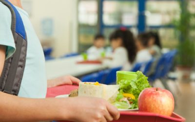 Alimentação saudável para seu filho levar para escola