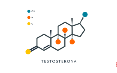 Testosterona no Auxílio do Emagrecimento